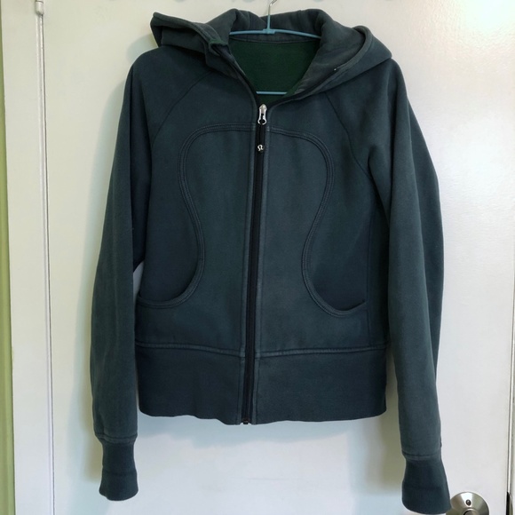 Meet your Posher, Leila - Picture 9 of 16